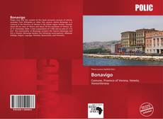 Capa do livro de Bonavigo 