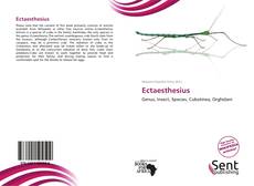 Bookcover of Ectaesthesius