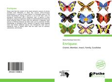 Bookcover of Enriquea