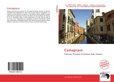 Capa do livro de Castagnaro 