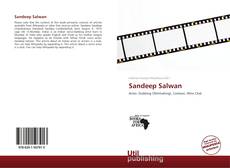 Capa do livro de Sandeep Salwan 
