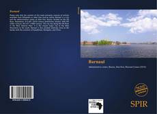 Capa do livro de Barnaul 