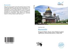 Buchcover von Borovichi