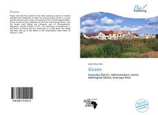 Bookcover of Gusev