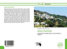 Bookcover of Aston Flamville