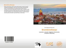 Bookcover of Bromkinsthorpe