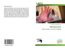Buchcover von Metopaulias