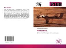 Microchela kitap kapağı