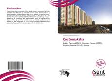 Обложка Kostomuksha