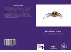 Orthohalarachne kitap kapağı