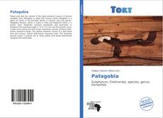 Patagobia kitap kapağı