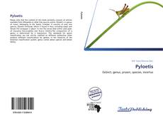 Pyloetis kitap kapağı