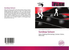 Capa do livro de Sandeep Salwan 