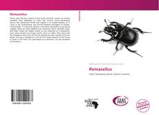 Bookcover of Remasellus