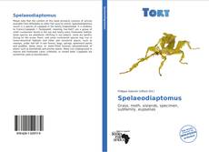 Spelaeodiaptomus kitap kapağı