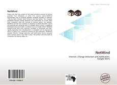 Buchcover von NetMind