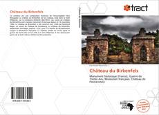 Bookcover of Château du Birkenfels