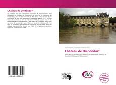 Château de Diedendorf kitap kapağı