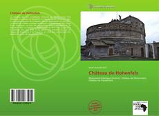 Bookcover of Château de Hohenfels
