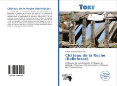 Portada del libro de Château de la Roche (Bellefosse)