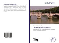 Portada del libro de Château du Wasigenstein