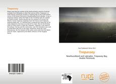 Capa do livro de Trepassey 