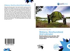 Bookcover of Wabana, Newfoundland And Labrador