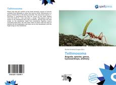 Buchcover von Tethinosoma
