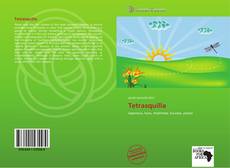 Buchcover von Tetrasquilla