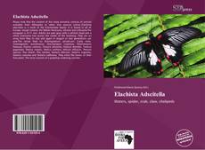 Portada del libro de Elachista Adscitella