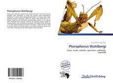 Bookcover of Pterophorus Wahlbergi