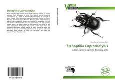 Обложка Stenoptilia Coprodactylus