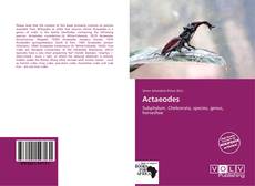 Actaeodes kitap kapağı