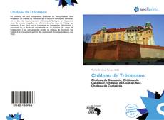 Château de Trécesson kitap kapağı