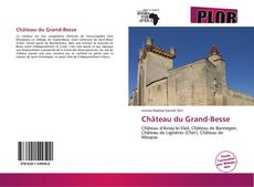 Capa do livro de Château du Grand-Besse 