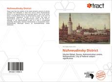 Bookcover of Nizhneudinsky District