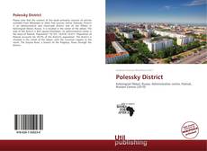 Bookcover of Polessky District