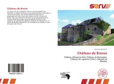 Bookcover of Château de Brosse