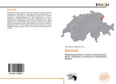 Capa do livro de Bennwil 
