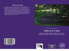 Château de Candé kitap kapağı