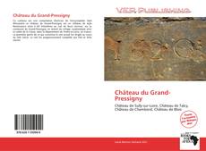 Capa do livro de Château du Grand-Pressigny 