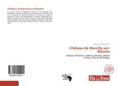Bookcover of Château de Marcilly-sur-Maulne