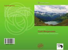 Bookcover of Casti-Wergenstein
