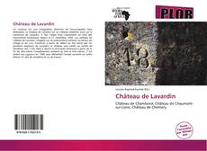 Château de Lavardin kitap kapağı