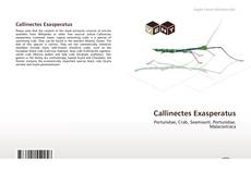 Callinectes Exasperatus kitap kapağı