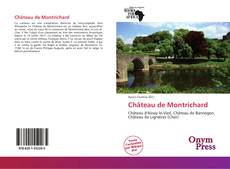 Capa do livro de Château de Montrichard 