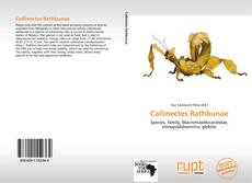Bookcover of Callinectes Rathbunae