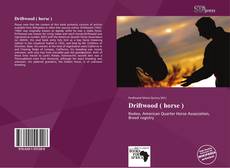 Bookcover of Driftwood ( horse )