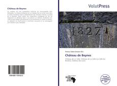 Capa do livro de Château de Beynes 