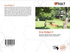 Bookcover of Grey Badger II